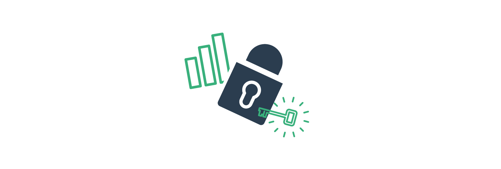 Data security icon